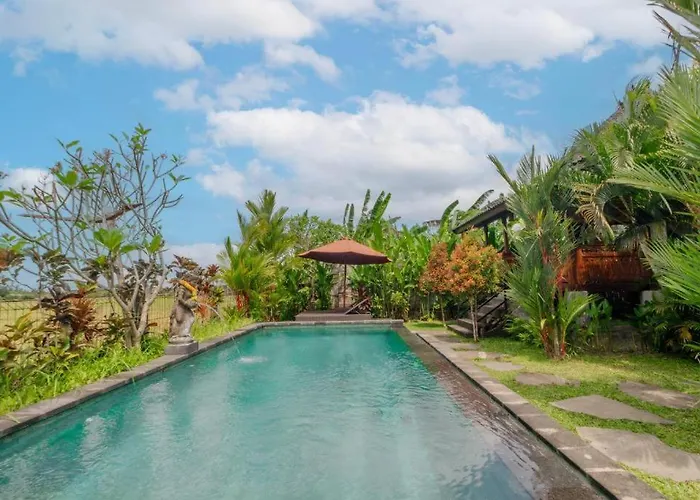 Precious Journey Retreat Villa