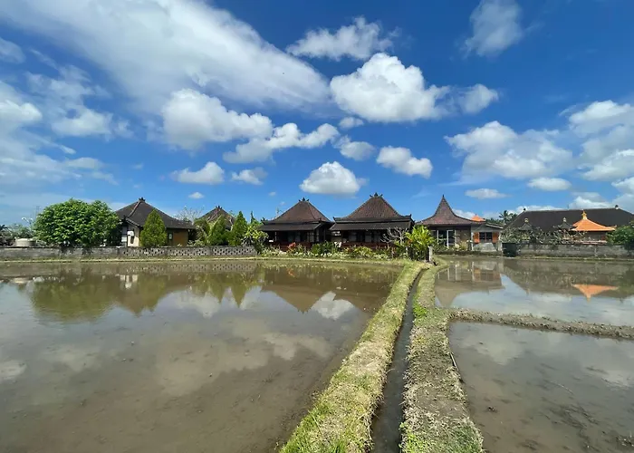 Precious Journey Retreat * Ubud (Bali)